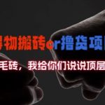 揭秘得物搬砖撸货内幕：顶级数据剖析，掌握财富密码的顶层思维！
