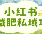 揭秘：小红书减肥粉私域变现秘籍，一单狂赚210元，新手也能快速掌握！