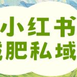 揭秘：小红书减肥粉私域变现秘籍，一单狂赚210元，新手也能快速掌握！