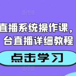 AI智能直播系统操作大全，轻松掌握各大平台直播技巧，成为直播达人！
