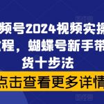 2024年最新视频号实操秘籍！新手必看：蝴蝶号新手带货，轻松十步成为带货高手！
