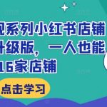 小红书赚钱攻略：AI赋能，单人即可高效运营16家店铺，揭秘小红书店铺变现新玩法！