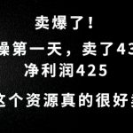 揭秘：爆款资源市场需求巨大，实操首日狂销43份，净利润高达425元！