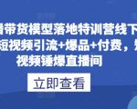 直播带货变现实战特训营：独家短视频引流技巧+爆品策略+付费转化，轻松打造爆款直播间！