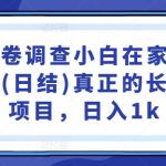 国内问卷调查赚钱攻略：小白也能轻松日入千元，揭秘长久稳定日结项目，在家批量操作不是梦！