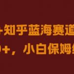 抖音+知乎独家蓝海市场，日赚数千不是梦！小白也能轻松掌握的保姆级赚钱教程【揭秘】