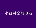小红书电商全攻略：从入门到精通，轻松掌握带货秘籍！