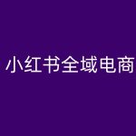 小红书电商全攻略：从入门到精通，轻松掌握带货秘籍！