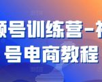 视频号变现训练营：掌握视频号电商运营秘籍，轻松月入过万！