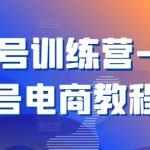 视频号变现训练营：掌握视频号电商运营秘籍，轻松月入过万！