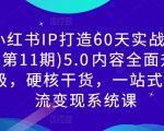 揭秘：60天打造小红书顶级IP实战秘籍（第11期）——全新5.0版本，全方位内容升级，硬核干货助你一站式引爆流量变现！