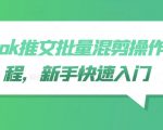 TikTok爆款视频制作秘籍：新手必看批量混剪操作教程，轻松上手快速吸粉！