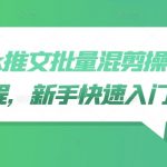 TikTok爆款视频制作秘籍：新手必看批量混剪操作教程，轻松上手快速吸粉！