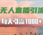 抖音快手视频号全平台必学，无人直播引流秘籍，轻松爆引1000+高质量精准创业粉丝【独家揭秘】