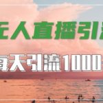 抖音快手视频号全平台必学，无人直播引流秘籍，轻松爆引1000+高质量精准创业粉丝【独家揭秘】