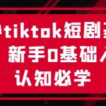 海外TikTok短剧制作入门攻略：零基础新手快速掌握必备技能，轻松开启创作之旅！