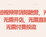 抖音带货赚钱秘籍：零囤货、零成本开店、免直播，免费流量攻略助你盈利翻倍！