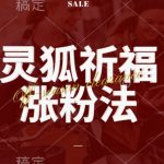 灵狐揭秘：视频号快速涨粉策略，三大收益渠道曝光，日赚1000+，轻松开启橱窗带货新模式！