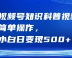 视频号小白逆袭秘籍：轻松操作日赚500+，揭秘知识科普视频赚钱之道！