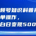 视频号小白逆袭秘籍：轻松操作日赚500+，揭秘知识科普视频赚钱之道！