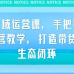 TIKTOK运营秘籍：一对一实战教学，打造顶级带货生态闭环，轻松实现流量变现！