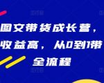 抖音带货新手变大佬！零基础入门，高收益全攻略，图文带货全流程揭秘！