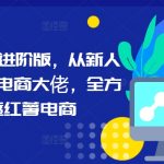揭秘小红书电商高手秘籍：新手到小红薯电商霸主的蜕变之路，全面掌握红薯电商核心玩法！