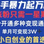 快手极速吸粉攻略：一周狂涨上万粉丝，揭秘多重变现技巧，一键开启财富之门，月入过万不是梦！