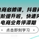2024年电商逆袭攻略：抖音直播操盘手高级进阶课程，破解直播带货瓶颈，业绩翻倍！
