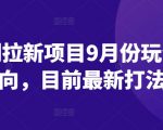 短剧拉新项目揭秘：9月独家玩法攻略，掌握最新引流技巧！
