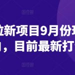 短剧拉新项目揭秘：9月独家玩法攻略，掌握最新引流技巧！