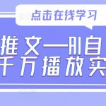 AI助力小说推文翻倍播放量！实操教程揭秘千万播放背后的秘密技巧