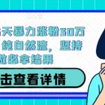抖音独家秘籍：15天激增30万粉丝！纯自然流量攻略，稳固操作必有奇效！