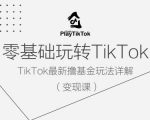 零基础轻松学会TikTok赚钱攻略，揭秘最新基金变现独家技巧！