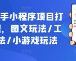 抖音快手小程序狂揽流量秘籍！一站式掌握图文、工具、小游戏玩法，轻松打造爆款项目课程！