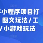 抖音快手小程序狂揽流量秘籍！一站式掌握图文、工具、小游戏玩法，轻松打造爆款项目课程！