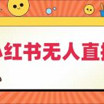 小红书无人直播带货攻略：揭秘全域电商最新操作，半无人直播也能月入过万！