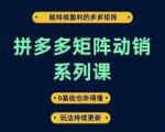 拼多多矩阵动销秘籍：轻松实现持续盈利，小白也能掌握的0基础矩阵策略，玩法实时更新！