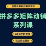 拼多多矩阵动销秘籍：轻松实现持续盈利，小白也能掌握的0基础矩阵策略，玩法实时更新！