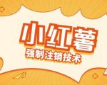 揭秘：独家技术教你轻松解除小红薯绑定手机号，释放资源！