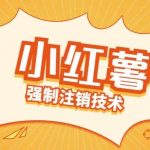揭秘：独家技术教你轻松解除小红薯绑定手机号，释放资源！