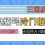 2024年视频号三国秘技揭秘：冷门赛道狂揽流量，打造必火视频，轻松操作快速盈利，新手也能月入过万！