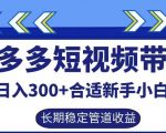 拼多多短视频带货轻松日入300+，揭秘长期稳定被动收益秘籍，新手小白也能快速上手！