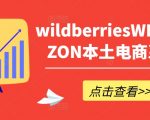 揭秘WILDBERRIES与OZON电商运营秘籍——轻松掌握WB产品优化、爆单技巧及高效订单处理！