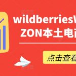 揭秘WILDBERRIES与OZON电商运营秘籍——轻松掌握WB产品优化、爆单技巧及高效订单处理！