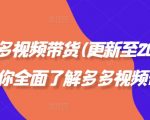 拼多多2024最新视频带货攻略，揭秘如何月入过万！