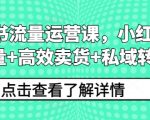 小红书爆流量秘籍：高效引流+销量翻倍+私域变现攻略，快速提升业绩！
