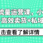 小红书爆流量秘籍：高效引流+销量翻倍+私域变现攻略，快速提升业绩！