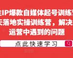 女性IP打造秘籍：14天自媒体爆号训练营，实战操作解决运营难题，快速崛起！
