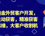 百万美金外贸订单轻松获取，揭秘外贸主动获客秘籍，精准锁定客户系统，成为行业大客户收割机！